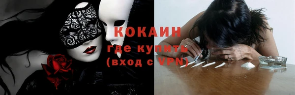 стаф Нефтегорск