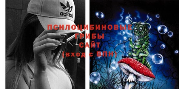 ешки Нея