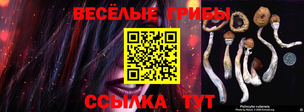 Псилоцибиновые грибы Psilocybine cubensis Белая Калитва