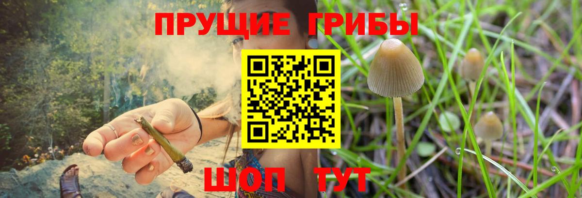 где можно купить наркотик  Галлюциногенные грибы прущие грибы  Вход с VPN  Белая Калитва 